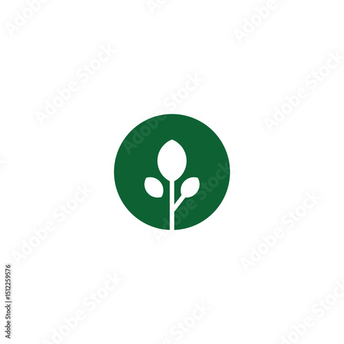 Green flat leaves. Leaf organic icon vector