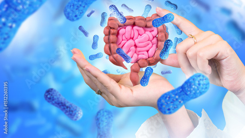 Intestine in hands. Microbiome of digestive system. Probiotic treatment. Probiotic cells for immunity. Digestive health. Studying action of probiotics. Microflora of intestinal tract