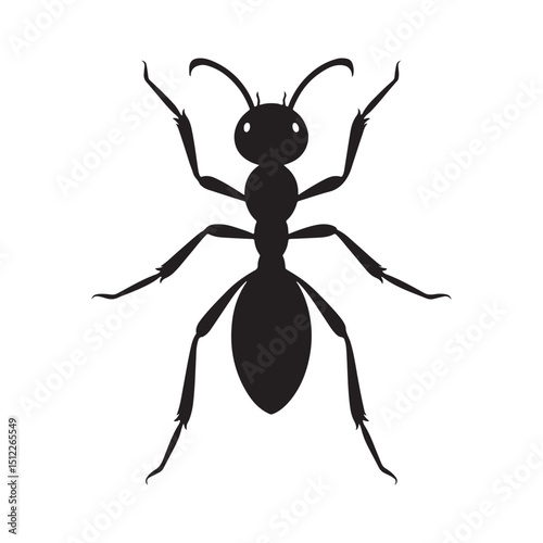 Ant. Vector illustration isolated on a white background.
