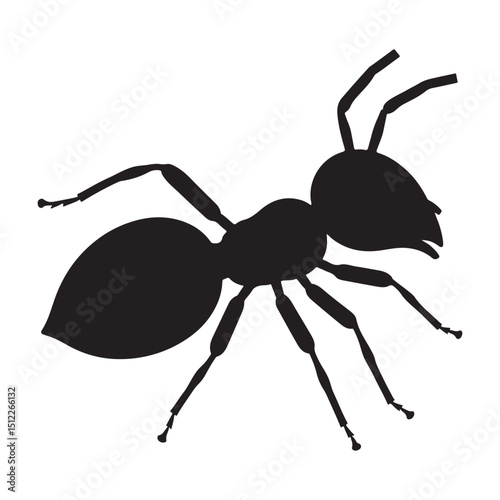 Ant. Vector illustration isolated on a white background.