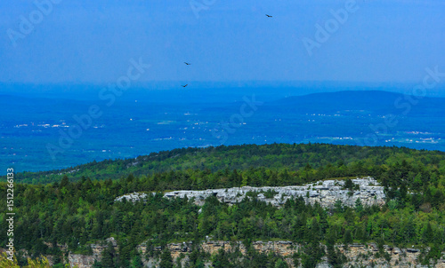 Picturesque view of coniferous forest in river valley, natural landscape in Appalachian Trail, New Jersey.