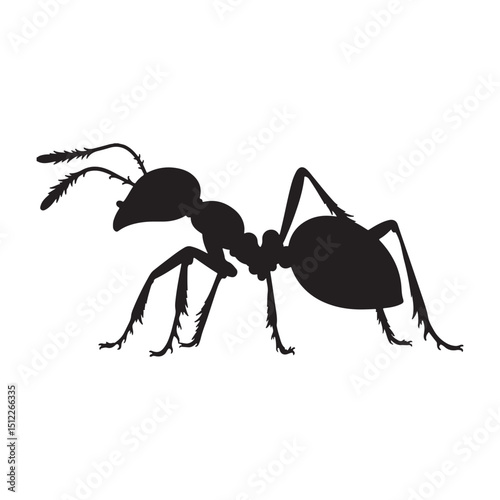 Black ant silhouette vector illustration. On a white background
