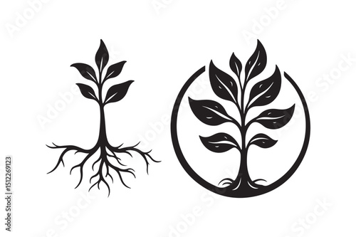 Tree Roots and Leaves Icon Set Nature Growth Silhouette Vector Design