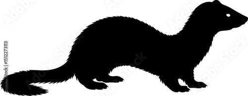Weasel vector silhouette on white background