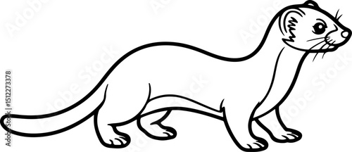 Weasel vector silhouette on white background