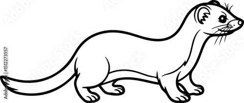 Weasel vector silhouette on white background