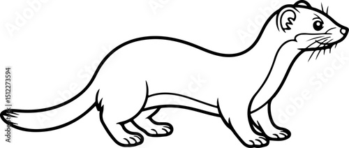 Weasel vector silhouette on white background