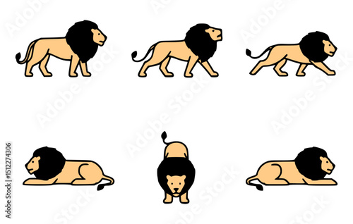 Lion in Different Poses. A collection of lions captured from multiple angles. These images can be used for illustrative or educational purposes.