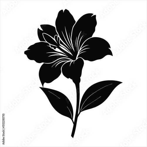 Elegant Black and White Lily Flower Silhouette