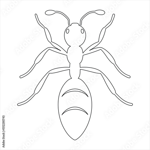 Detailed Ant Illustration in Black and White Silhouette Style