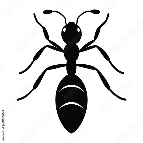 Simple Black Ant Insect Illustration on White Background silhouette