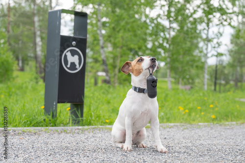 Adorable Dog with Waste Bag Ready for a Walk. 