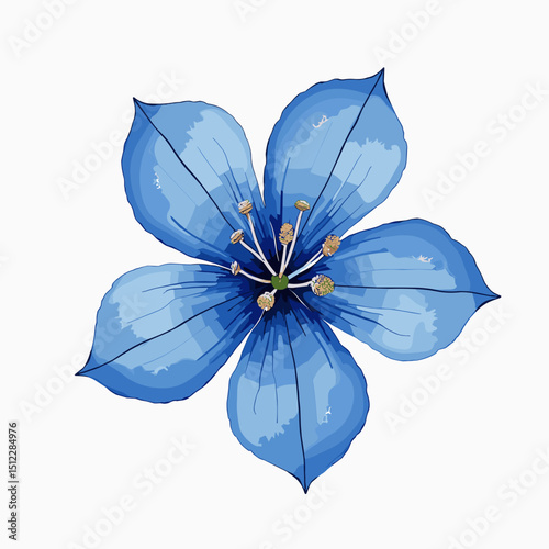 Blue flower illustration with detailed petals and golden stamens  