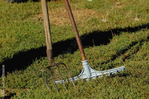 A pitchfork and another tool with a long handle, possibly a rake, resting on the ground. Their sturdy design and positioning emphasize agricultural or yard work	
