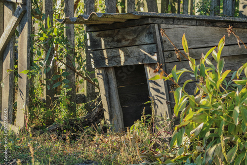 A small wooden shelter, possibly a dog house, nestled among lush green plants. Its natural setting gives it a rustic, peaceful look	
