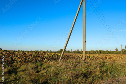 A clear blue sky with a wooden utility pole standing in a grassy field, emphasizing the contrast between infrastructure and open nature	
