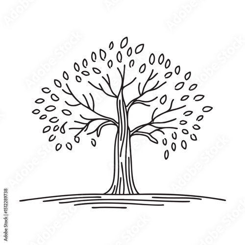 A tree featuring downward curving branches