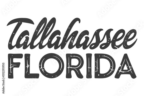 Tallahassee, Florida Script and Typography Vector Design