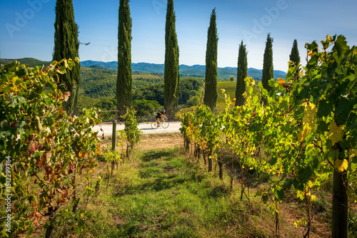a biker of the Eroica race among the vineyards of Dievole