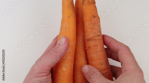Freshly harvested carrots held in hands against a white background