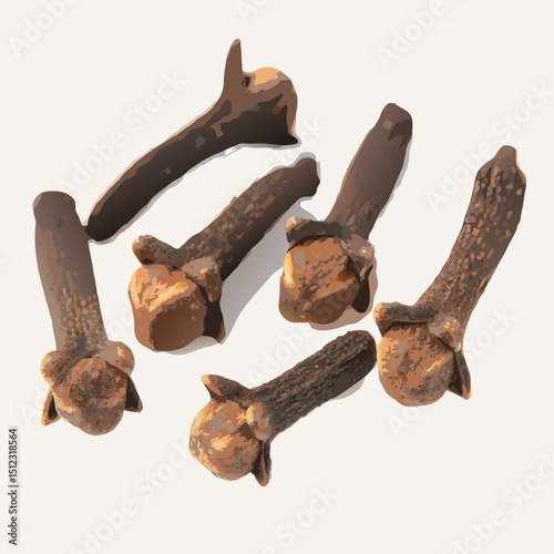 vector dry cloves on white background