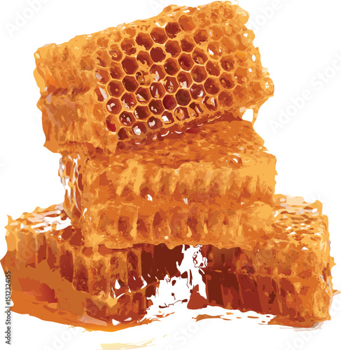 vector honeycomb isolated on white