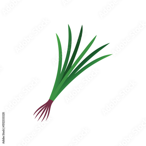 chives vector