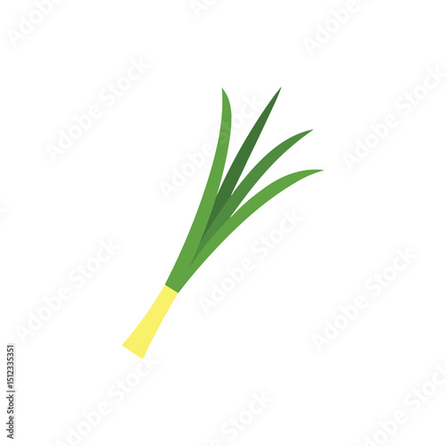 lemongrass vector