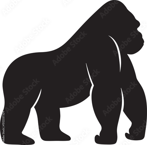 gorila vector