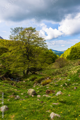 Valley of the Jordanne from the forest of Rombières, near the source of the river photo