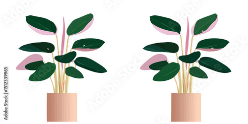 Two beautifully drawn indoor plants create a sense of calm and freshness. Perfectly crafted, they invite a feeling of bringing the outdoors inside.