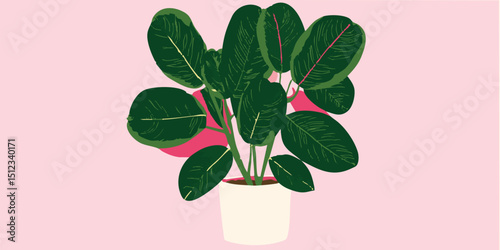 A vibrant, leafy houseplant...