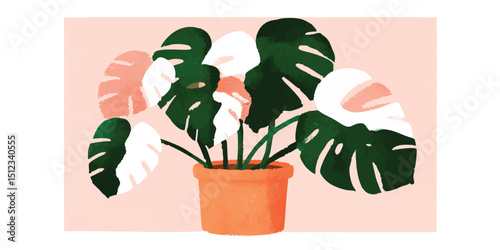 Monstera deliciosa with variegated leaves in a terracotta pot, creating a modern and elegant plant illustration.
