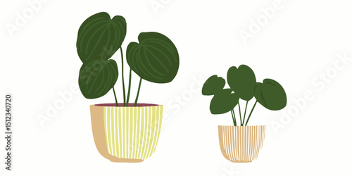 Two houseplant in pots, evoking a sense of freshness and serenity. The houseplant features green leaves and decorative planters, which can bring natural elements to indoor spaces. 