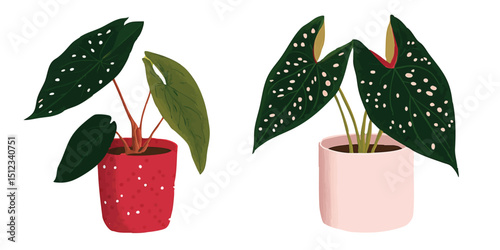 Artistic botanical illustration of two vibrant potted plants, showcasing lush, spotted foliage. The graphic style offers a modern interpretation of botanical beauty. 