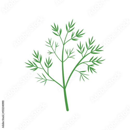 dill vector