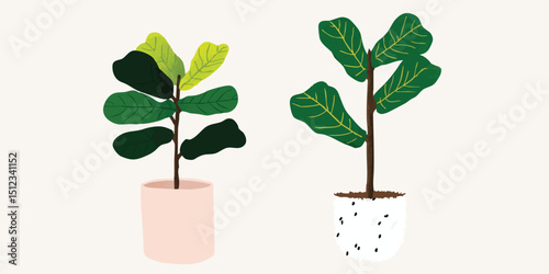 Captivating image of potted plants, each a symbol of serenity and elegance. The delicate leaves and artful pots make this an ideal image for interior design projects or nature-themed websites.