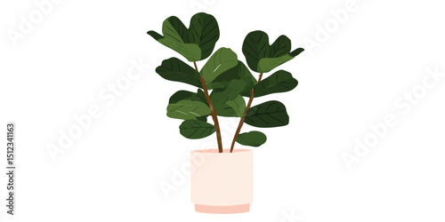 A vibrant fiddle-leaf fig plant, in a pale pot, showcasing the intricate details of nature, the fresh green leaves add a touch of freshness to the interior.