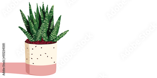 A vibrant Haworthia attenuata succulent thrives in a stylish cream and pink pot, its green leaves speckled with white dots, casting a soft shadow. 