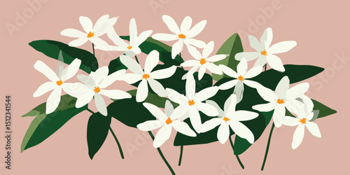 A serene bouquet of delicat...