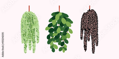 A collection of vibrant hanging plants of different colors, creating a stunning and unique display. Showcasing the beauty and variety of botanical life.
