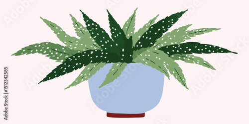 A stylized illustration showcases a charming potted plant, featuring intricately patterned leaves. The design highlights the plant's natural beauty.