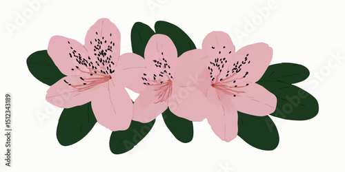 A delicate and detailed illustration of three blooming Azalea flowers with vibrant petals, surrounded by lush green leaves, showcasing the beauty of springtime.