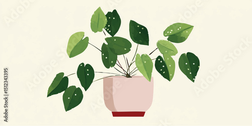 A Pilea peperomioides, also known as a Chinese money plant, is potted in minimalist, blush-toned pot, symbolizing prosperity and simple sophistication in home decor.