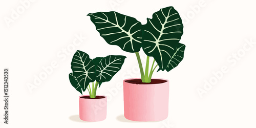 Two elegant potted plants w...