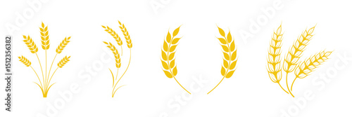 Ear of wheat, barley or rye. Wheat and cereal plant icons set. Wheat barley ears, oat isolated on white background.