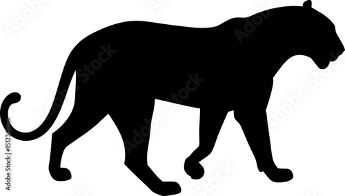 Black Silhouette of Panther, Leopard, Jaguar, Big Cat, Wild Animal, Feline Predator, Panthera Onca, Panthera Pardus, Panthera Leo, Panthera Tigris, Jungle, Forest, Shadow, Outline, Icon, Graphic