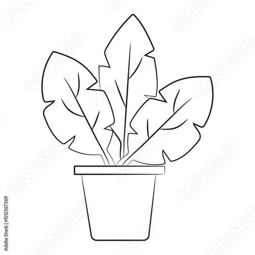 Color Plant Tree_1