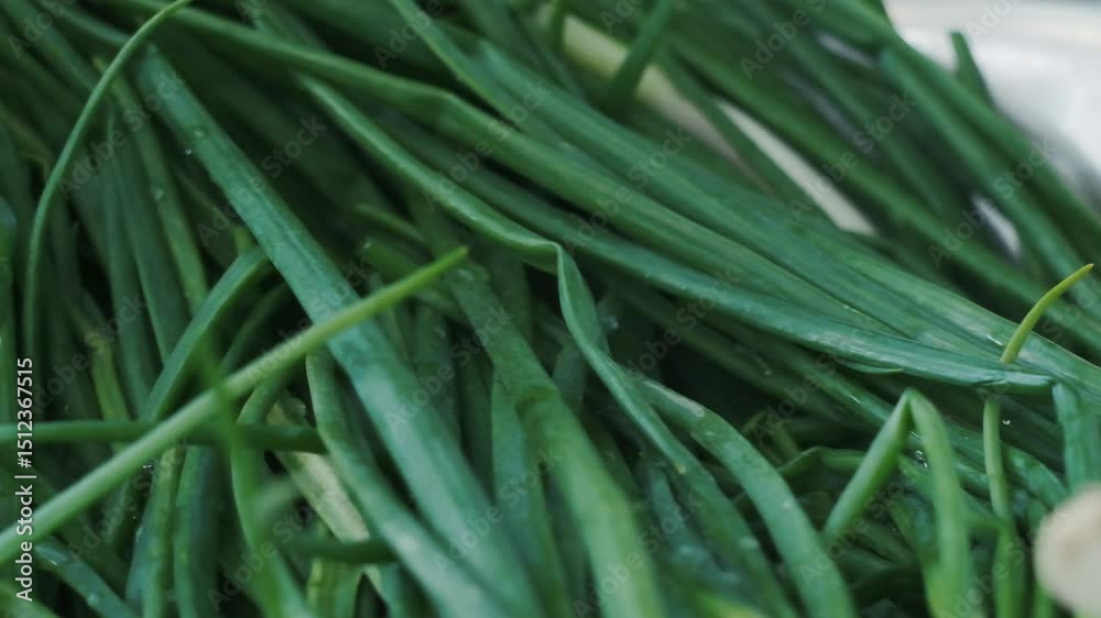 Close-up of fresh green onions with white bulbs in a metal bowl. Fresh produce concept. Close-up of fresh green onions with white bulbs in a metal bowl. Fresh produce concept.