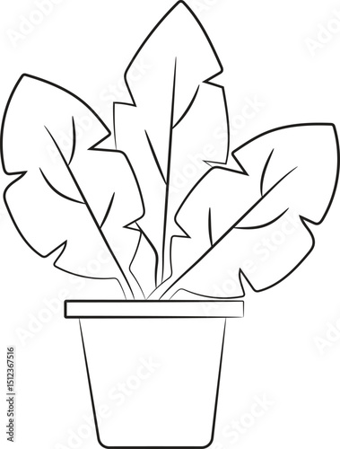 Color Plant Tree_1